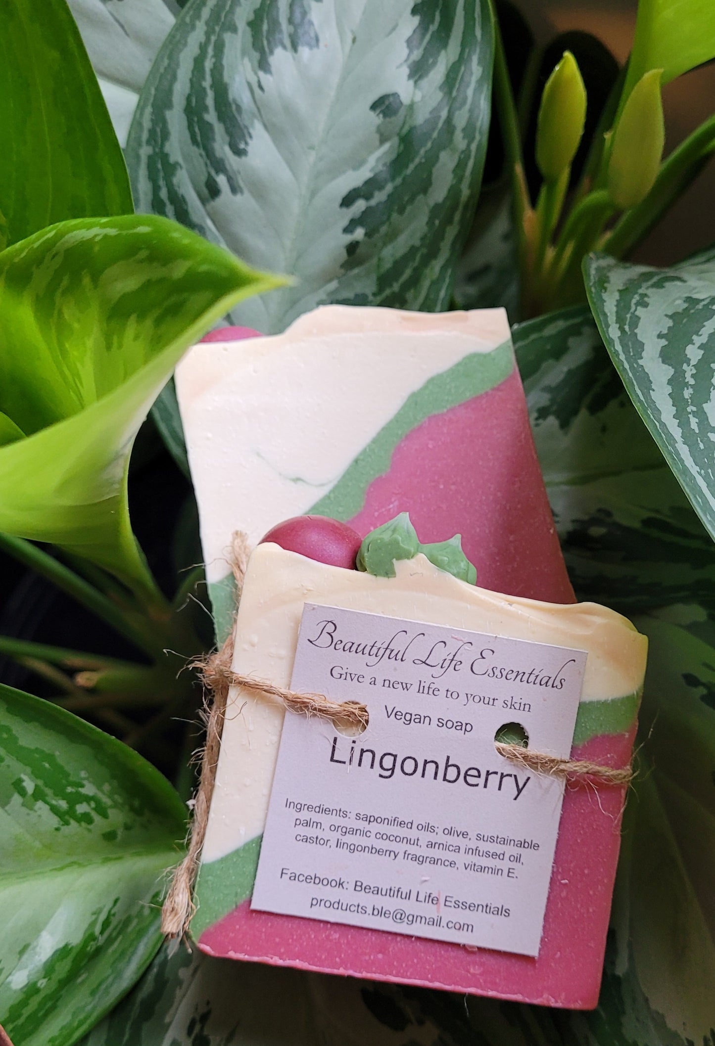 Enriched with coconut oil and castor oil to provide creamy and rich lather and leave your skin clean and hydrated.